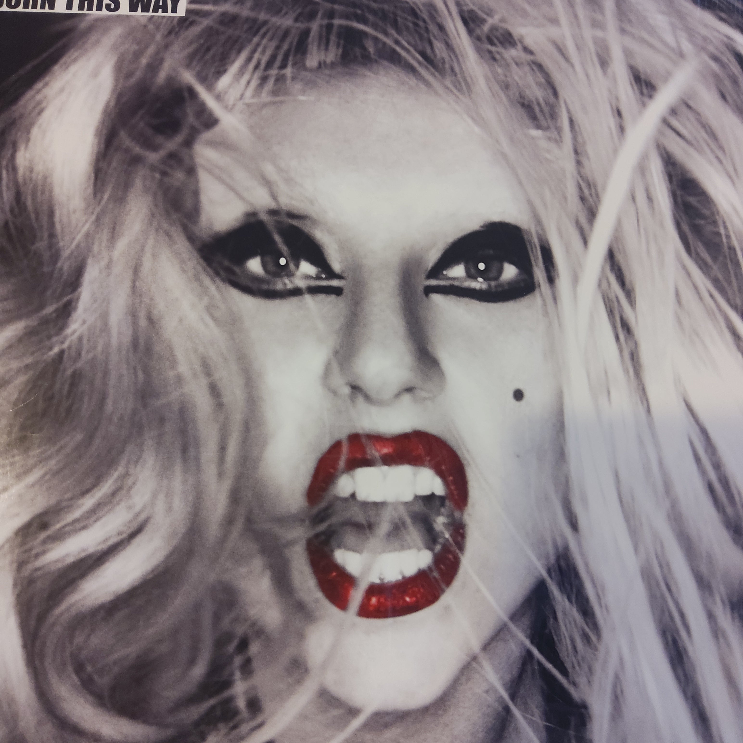 Born this way lady gaga lp – Seattle Records