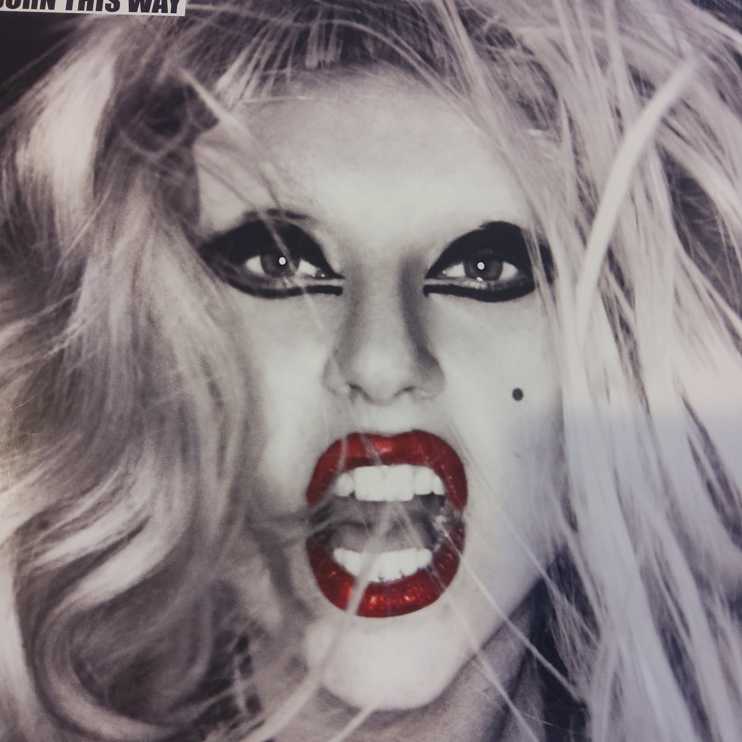 Born this way lady gaga lp