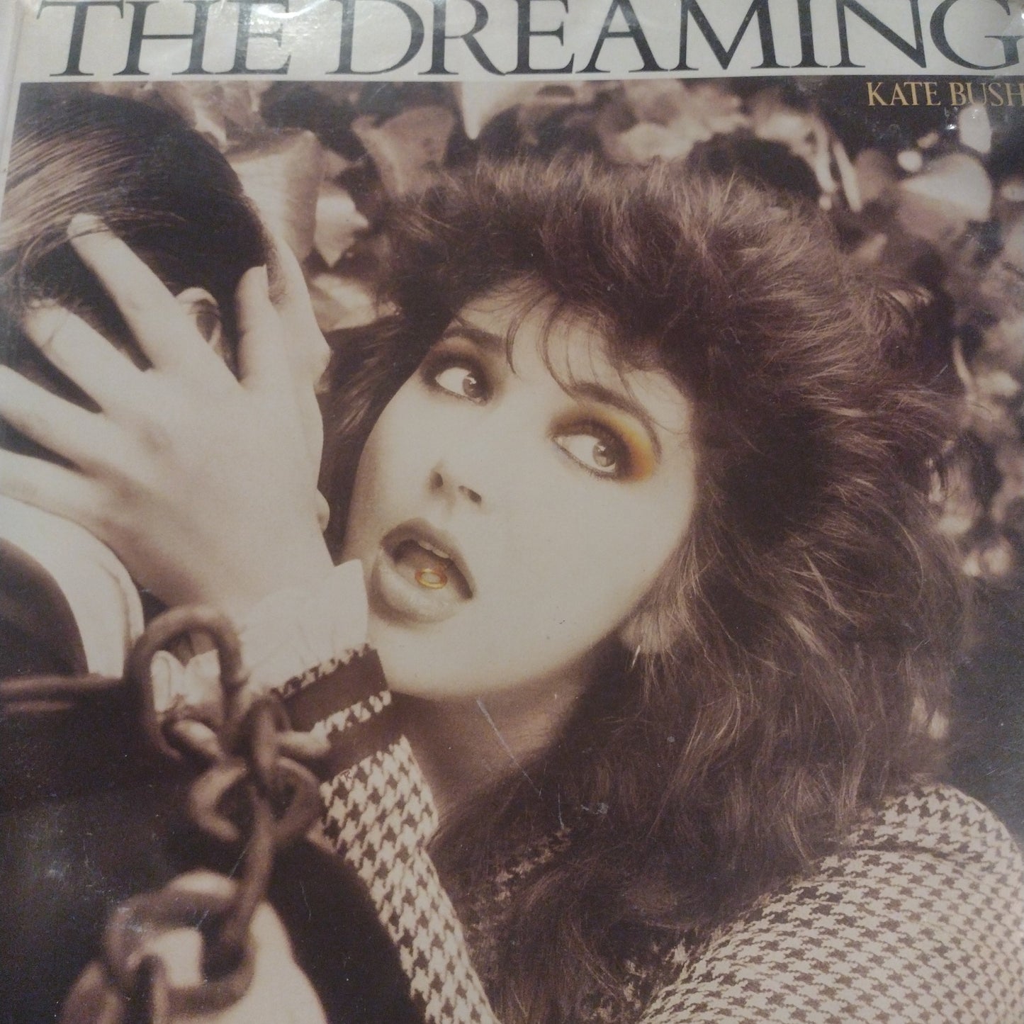 The dreaming Kate Bush LP