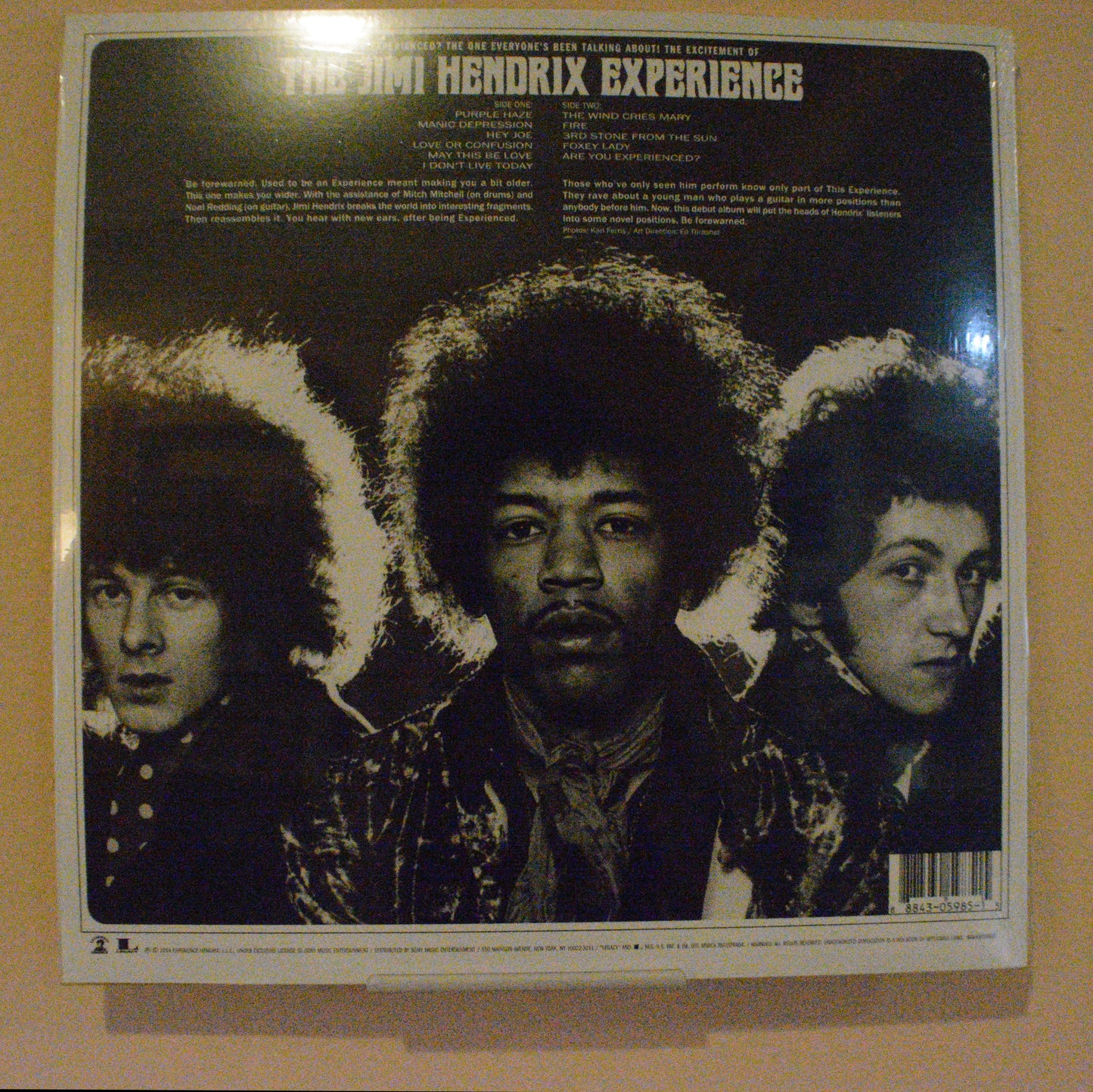 The Jimi Hendrix Experience - Are You Experienced LP