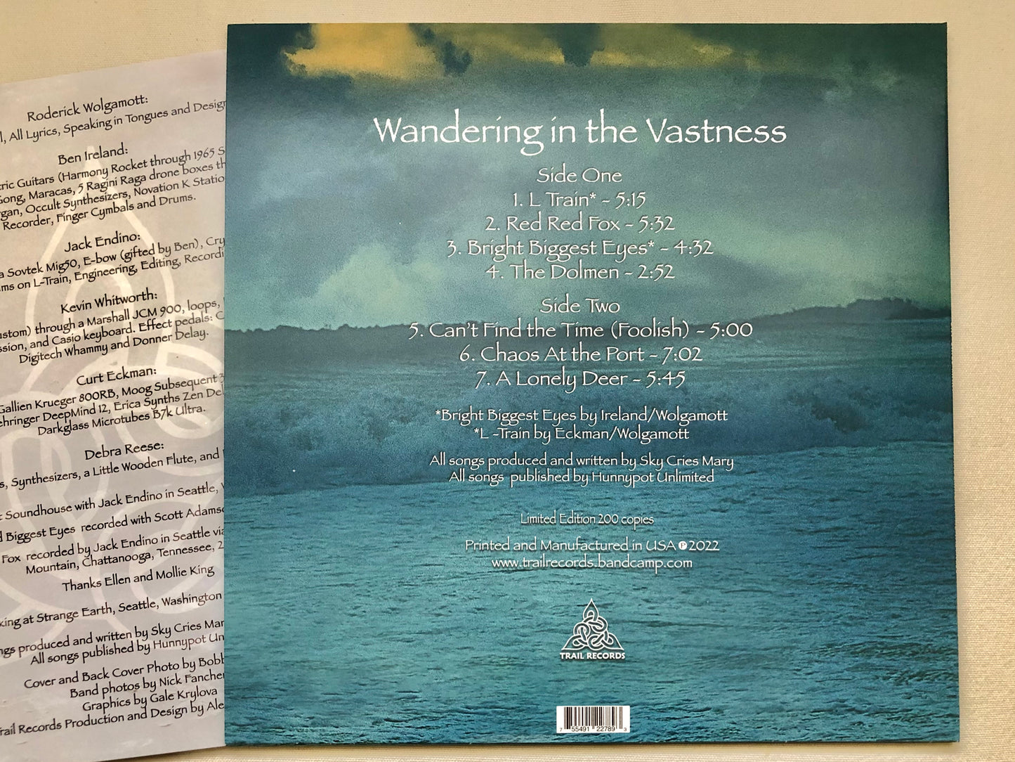 SKY CRIES MARY - Wandering in the Vastness