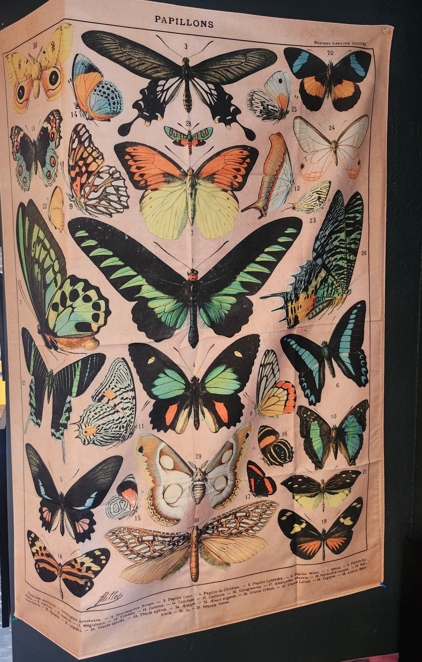 Butterfly tapestry